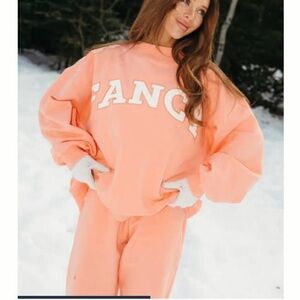 Fancy Fleece Frosted Peach Set: Wide Leg Sweatpants and mockneck set
